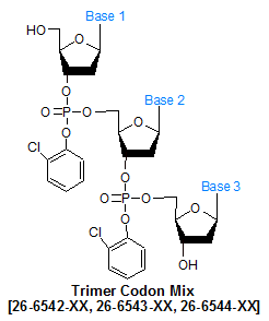 picture of Trimer Codon Mix 2 Antisense (Mix of 19 Antisense codons minus Cysteine)